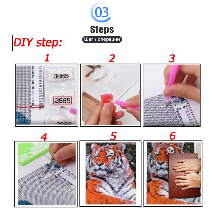 Kit de pintura de diamante 5D, - Art And Craft Valentine reseña y precio