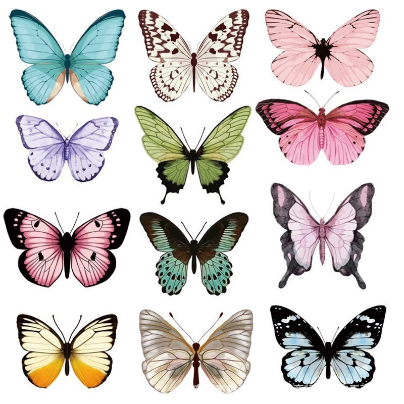 12 Uds. Pegatinas de pared de  - Art Craft Room reseña y precio